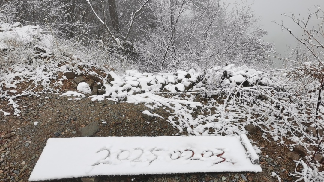 900公里开了18个小时！浙江多个高速口关闭、限流…这些地方下雪了