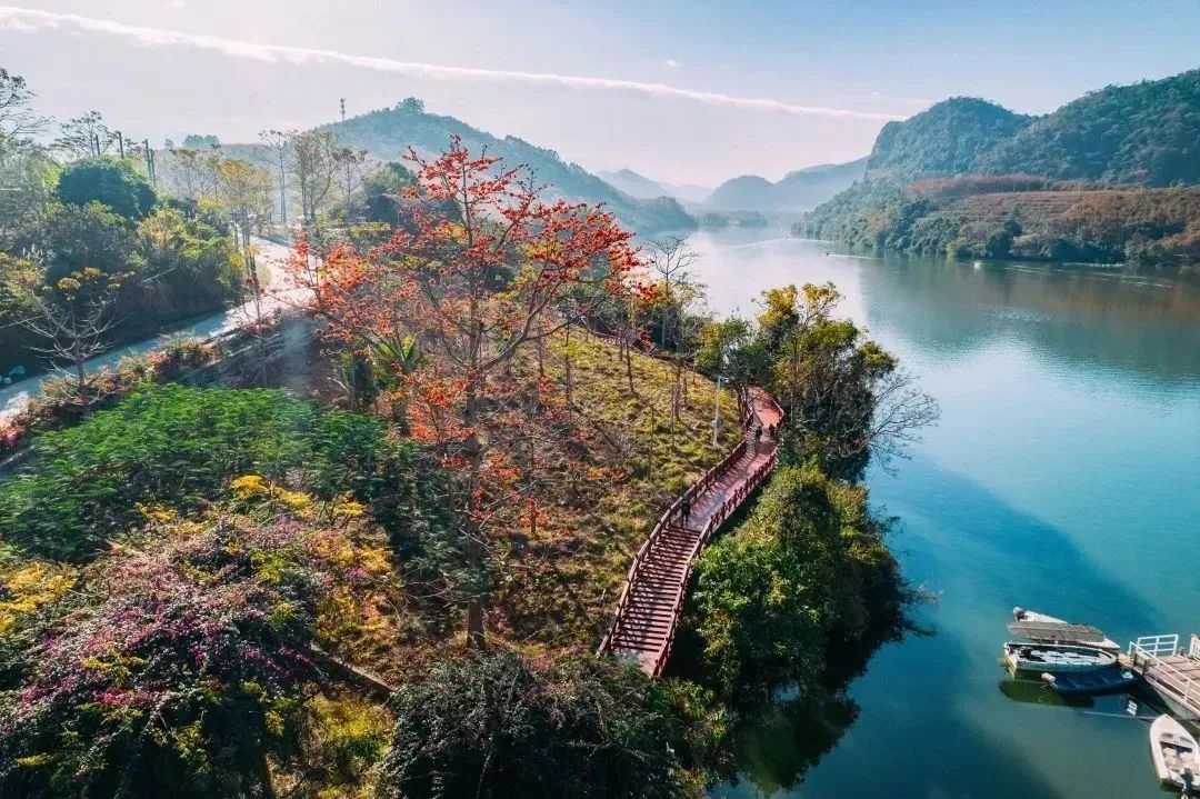 今日立春，打开海南春天的正确方式→