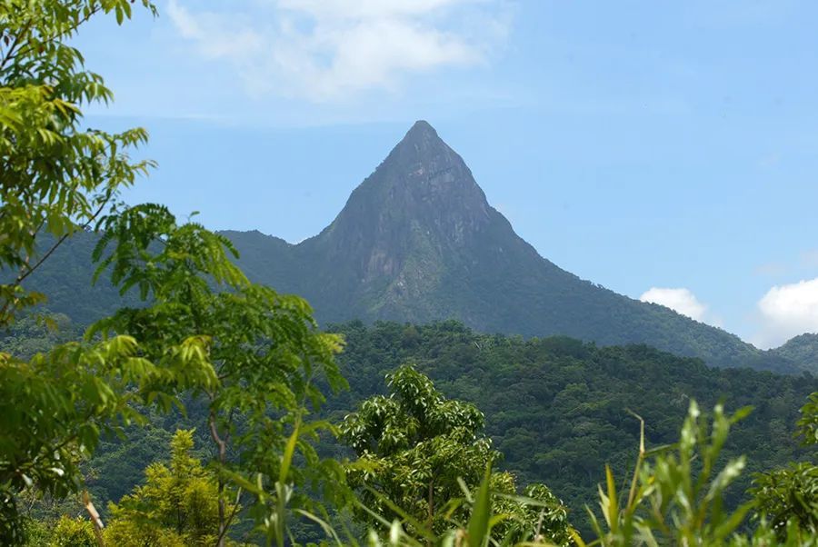 今日立春，打开海南春天的正确方式→