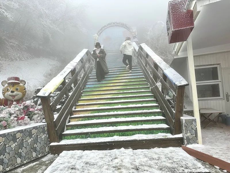 900公里开了18个小时！浙江多个高速口关闭、限流…这些地方下雪了