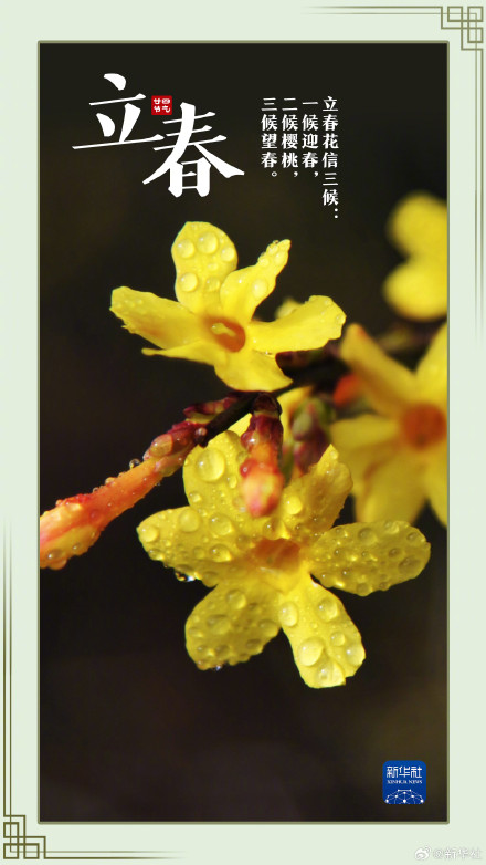 今日立春万物复苏