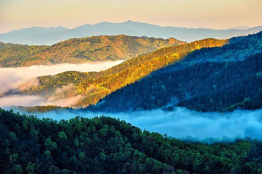 今日立春，打开海南春天的正确方式→