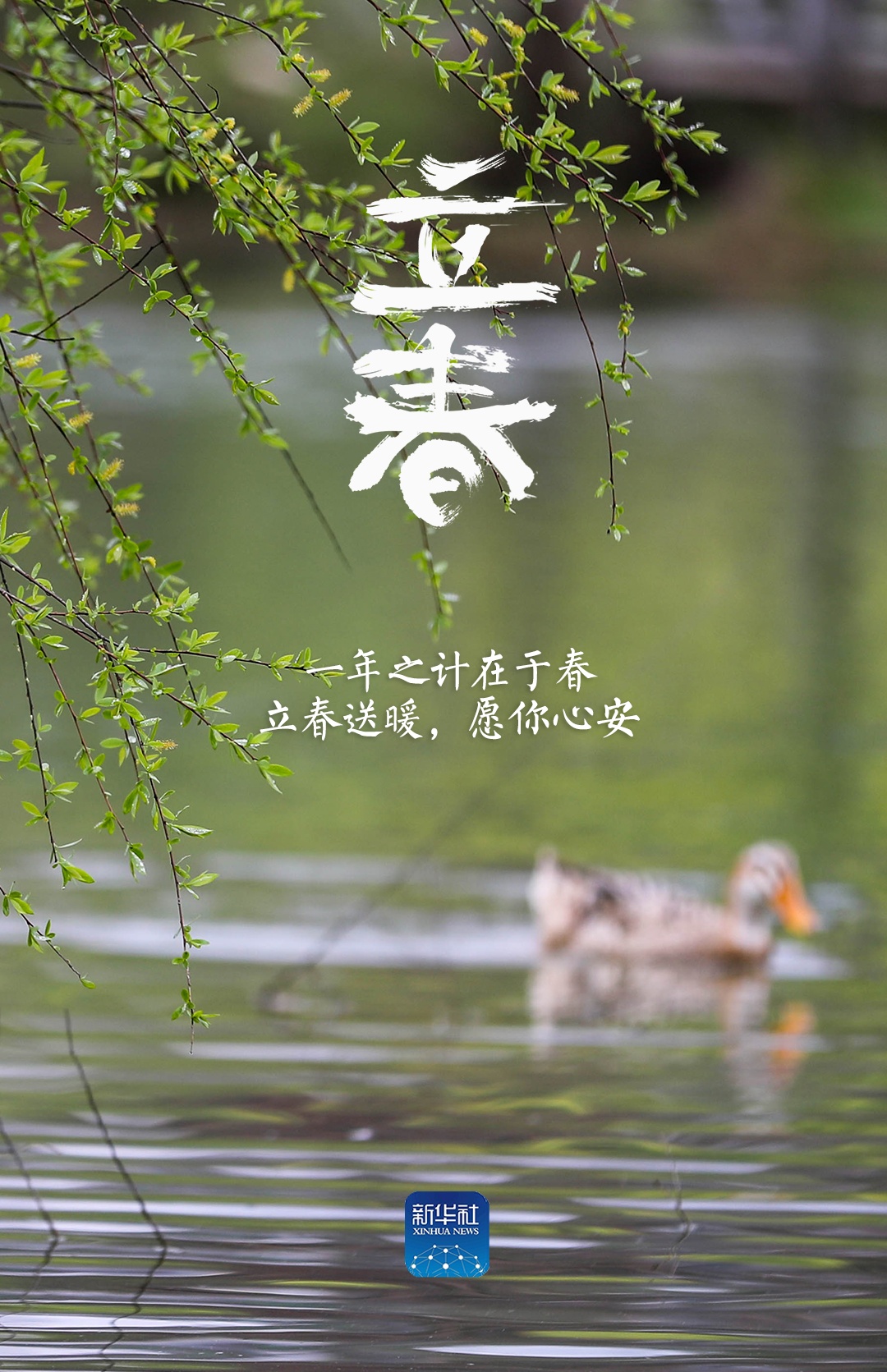 立春！祝你春风得意