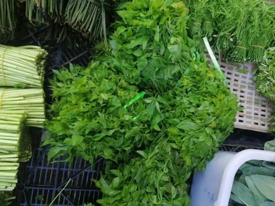 云南人的春天，从舌尖开启