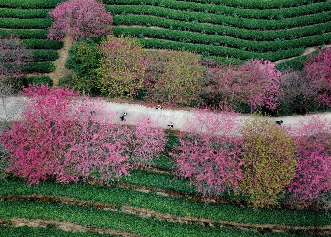 今日立春，要做这些事！