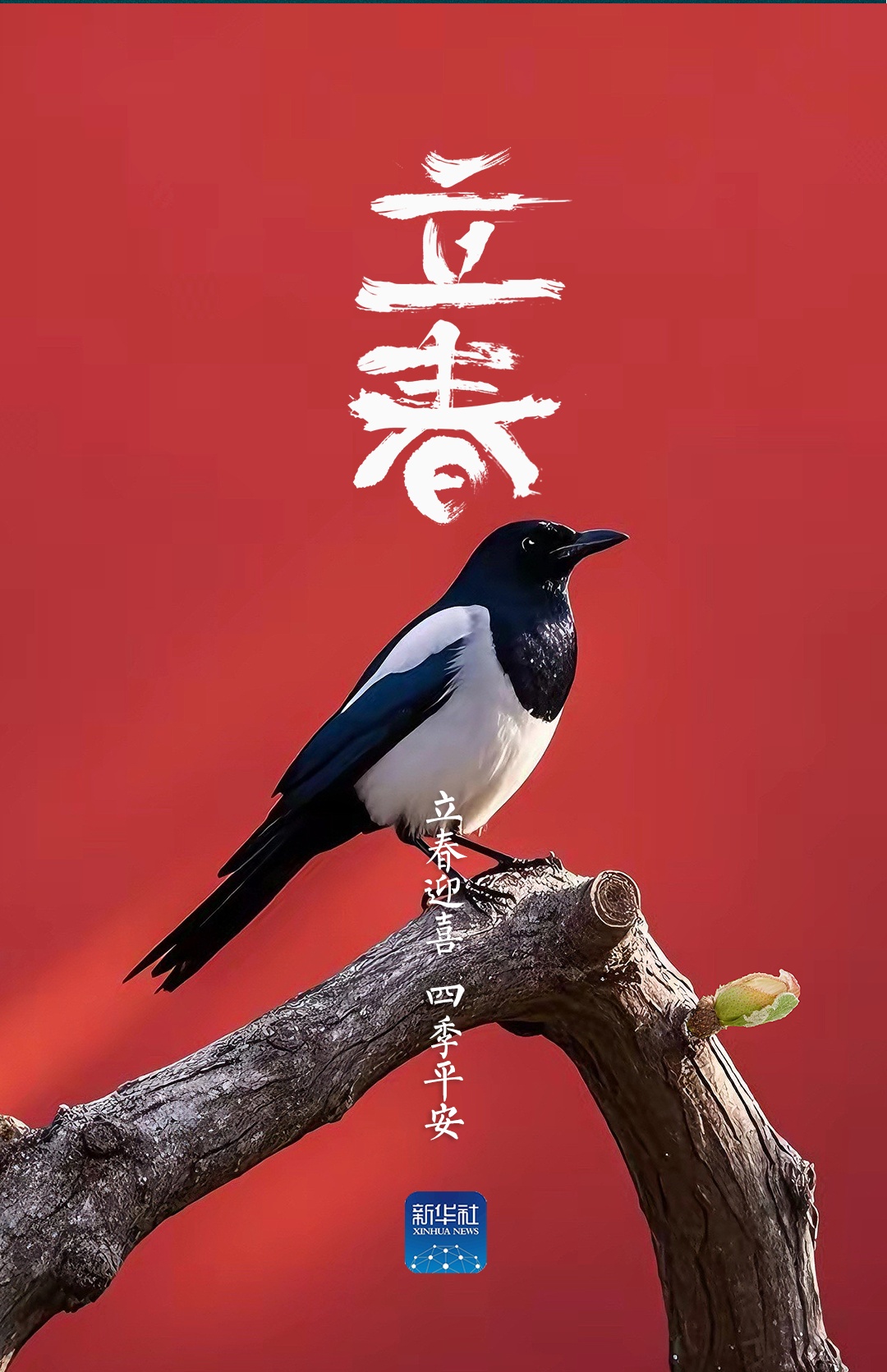 立春！祝你春风得意