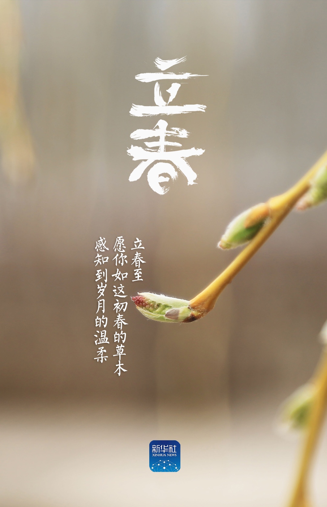 立春！祝你春风得意