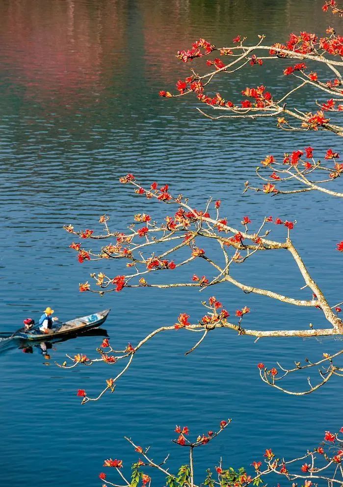 今日立春，打开海南春天的正确方式→