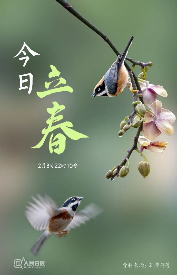 假期“余额”不足，节后综合征缓解指南来啦！