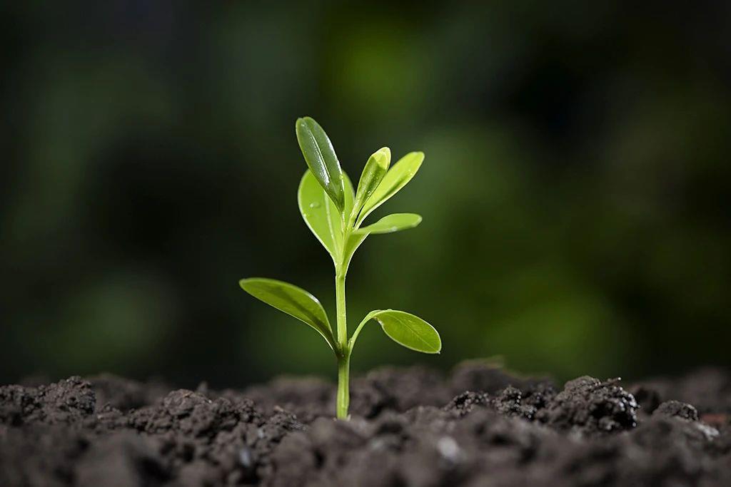 立春到,做好这些小事,一整年都健康! 立春到,做好这些小事,一整年都健康!