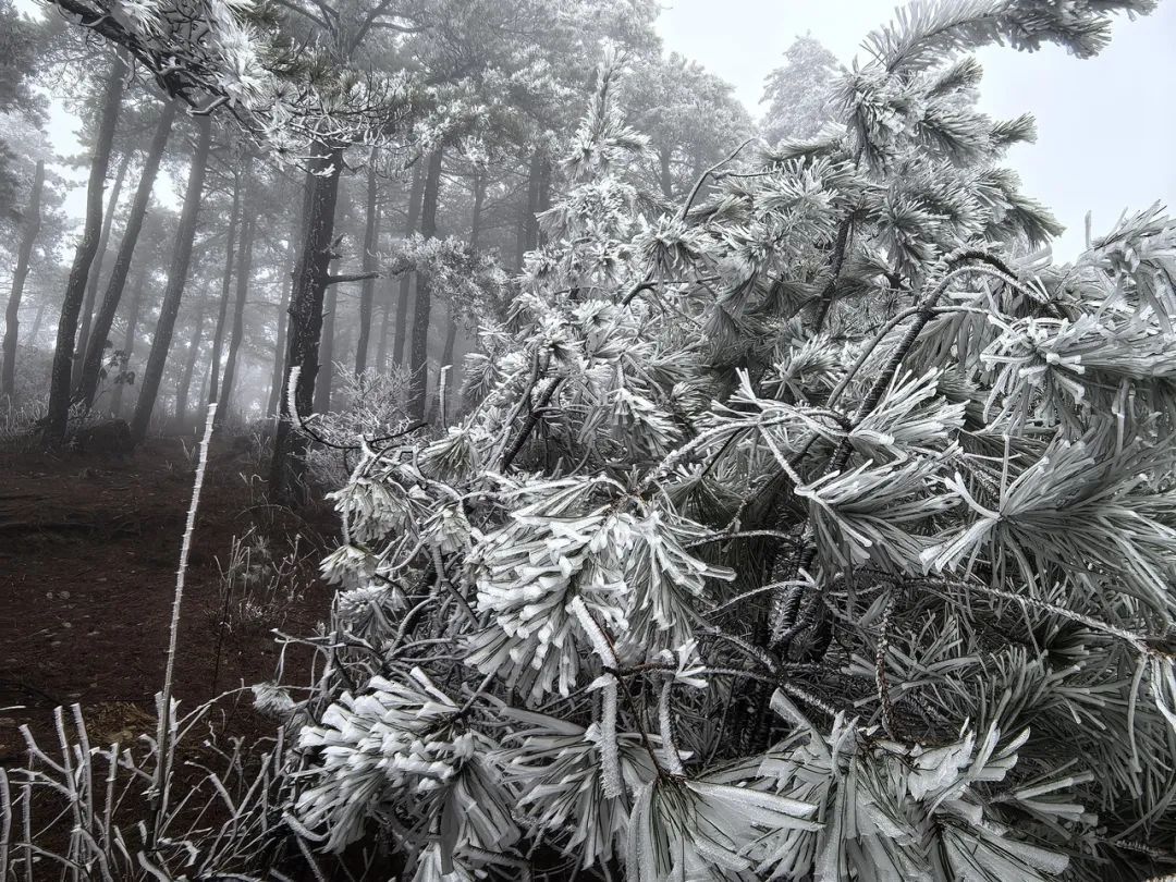 升至12℃！今日立春，浙江阳光回归，之后有反转
