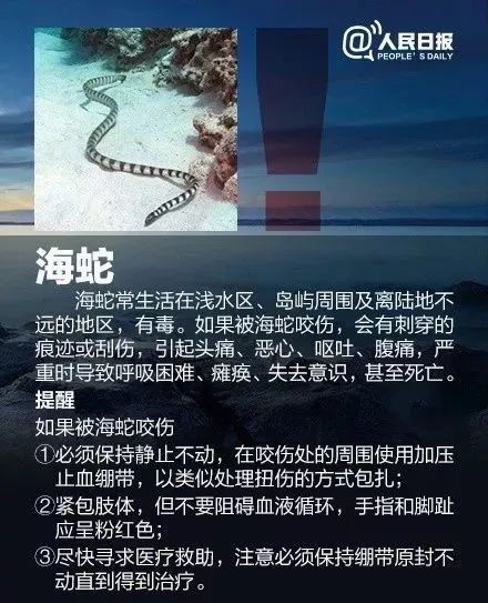 去海边游玩，收好这份安全攻略