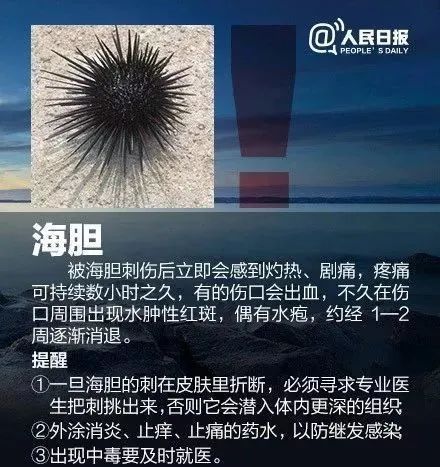 去海边游玩，收好这份安全攻略