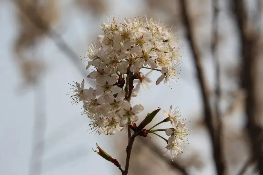 今日立春｜万物生，暖意融，共赴一场春日之约