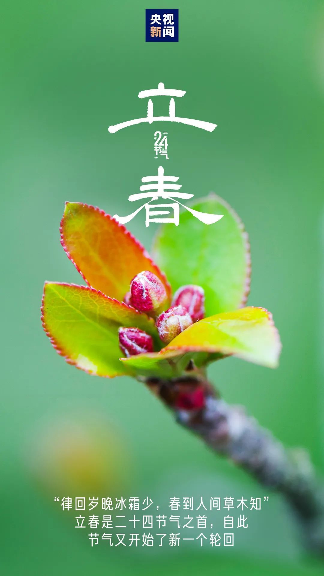 今日,大年初六,立春! 今日,大年初六,立春!