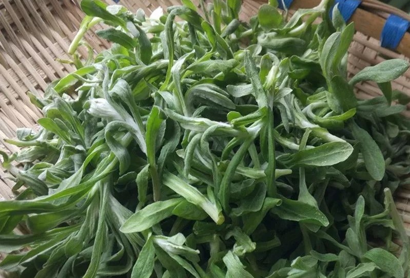 云南人的春天，从舌尖开启