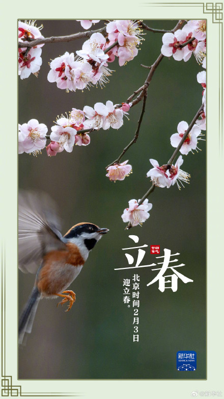 今日立春万物复苏