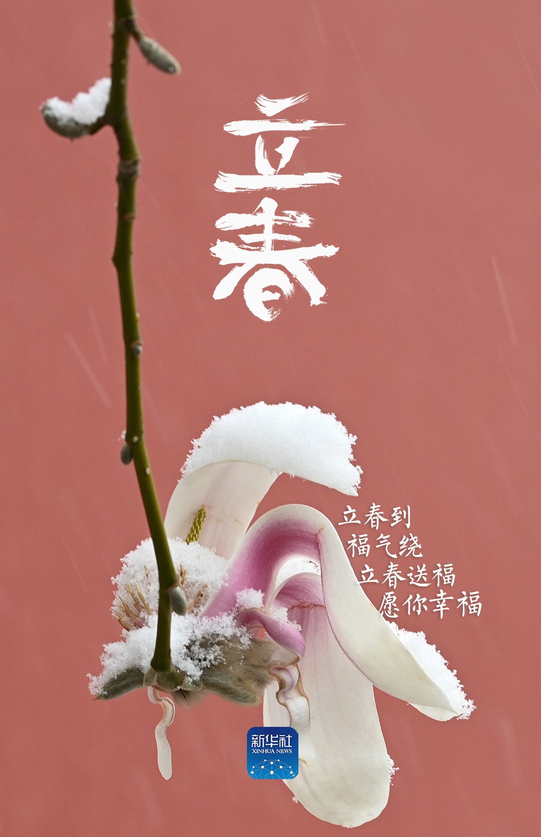 立春！祝你春风得意