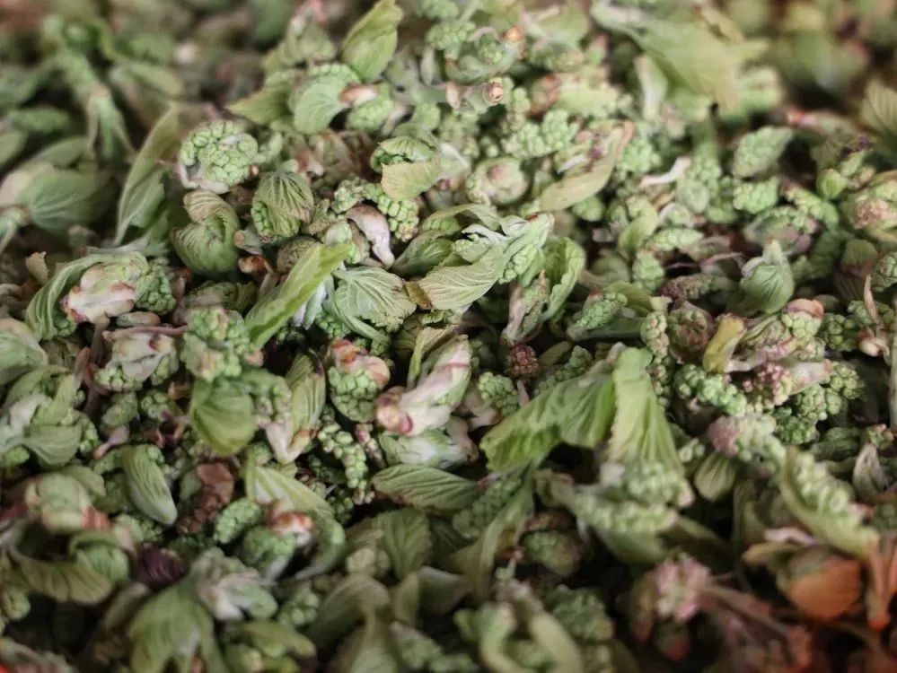 云南人的春天，从舌尖开启