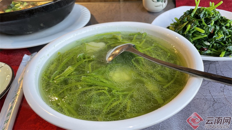 云南人的春天，从舌尖开启