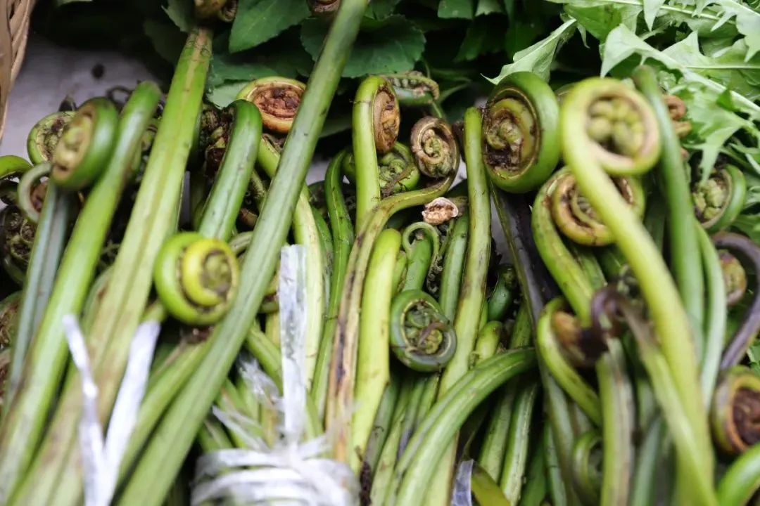 云南人的春天，从舌尖开启