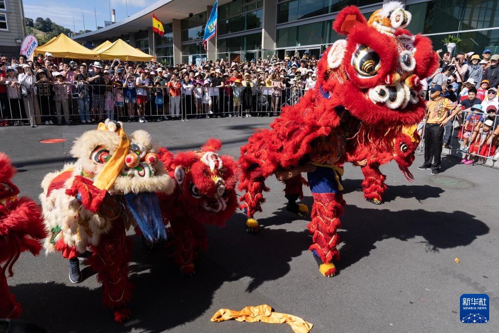 综合消息丨同一个世界　同一份喜悦——世界多地同贺中国年