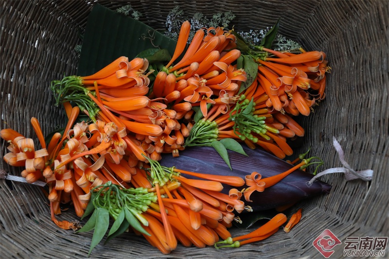 云南人的春天，从舌尖开启