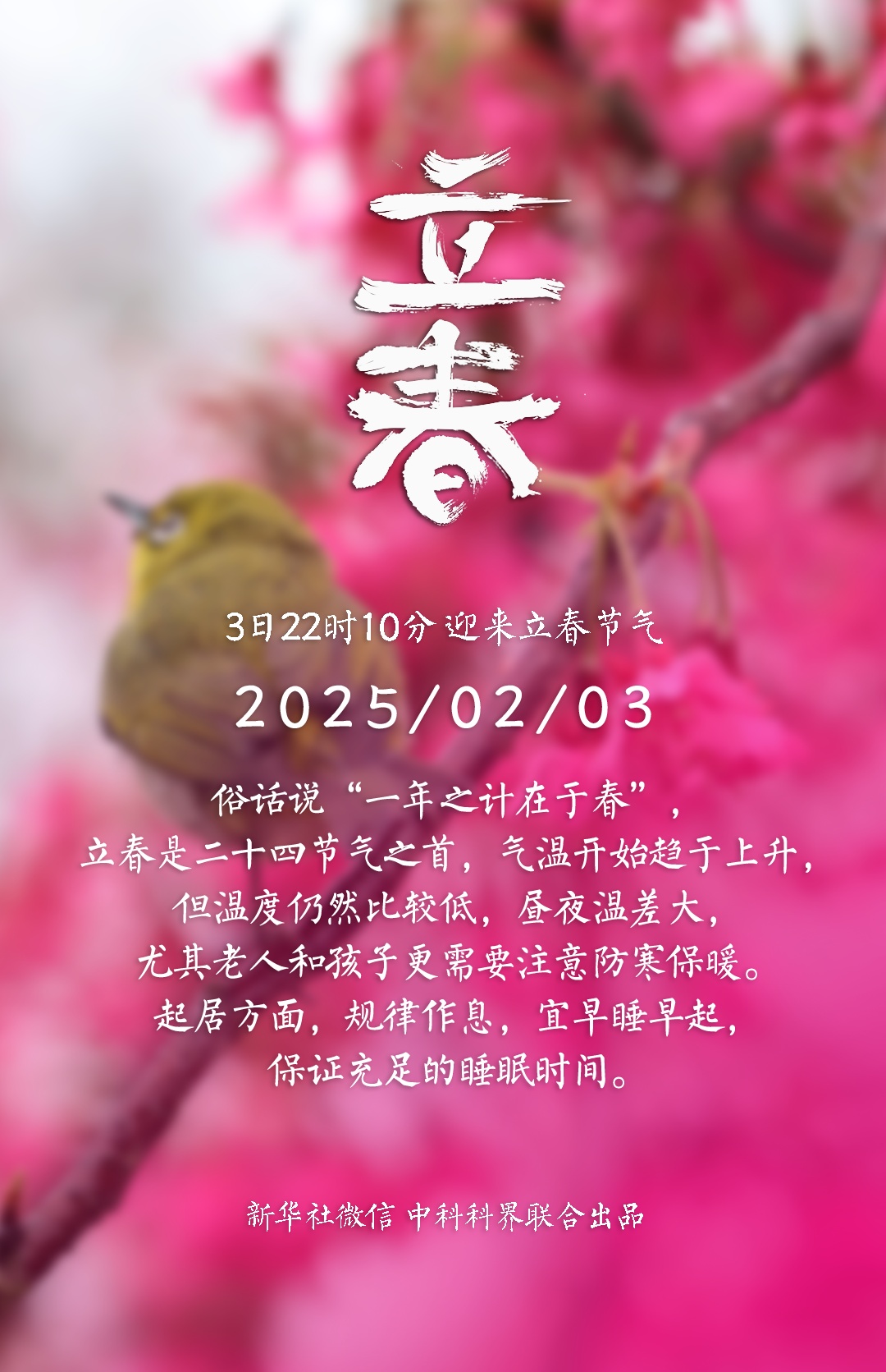 立春！祝你春风得意