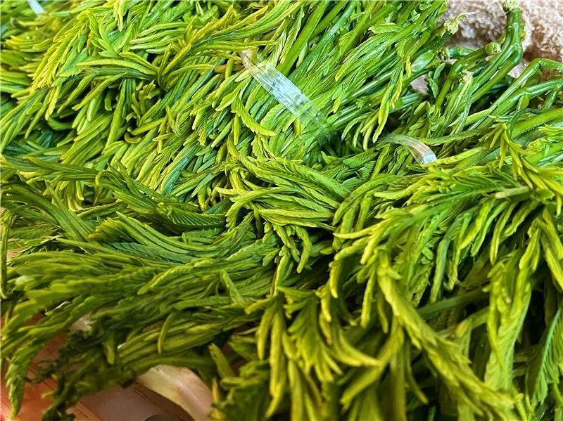 云南人的春天，从舌尖开启