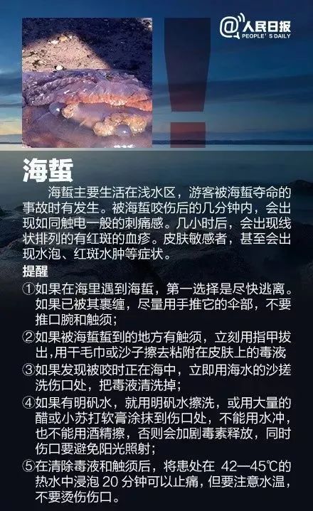 去海边游玩，这些知识快来get→