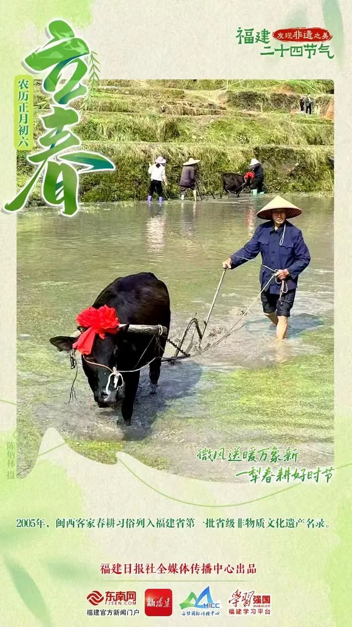 今日立春!新一轮冷空气来袭,福建天气大反转 今日立春!新一轮冷空气来袭,福建天气大反转