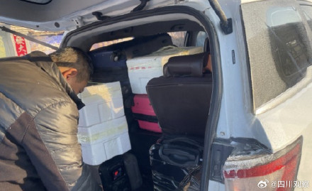 爱你没极限！后备箱的极限不是爸妈的极限