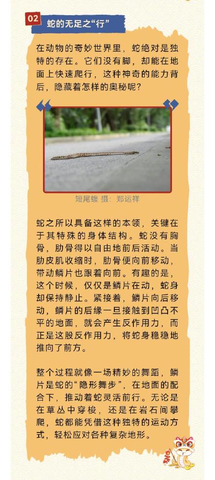 蛇年说蛇——蛇都有哪些超能力？