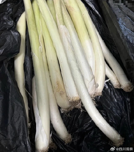 爱你没极限！后备箱的极限不是爸妈的极限