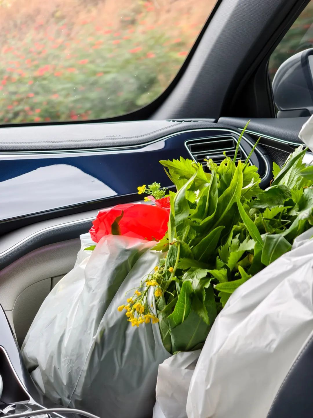 真的装不下了……