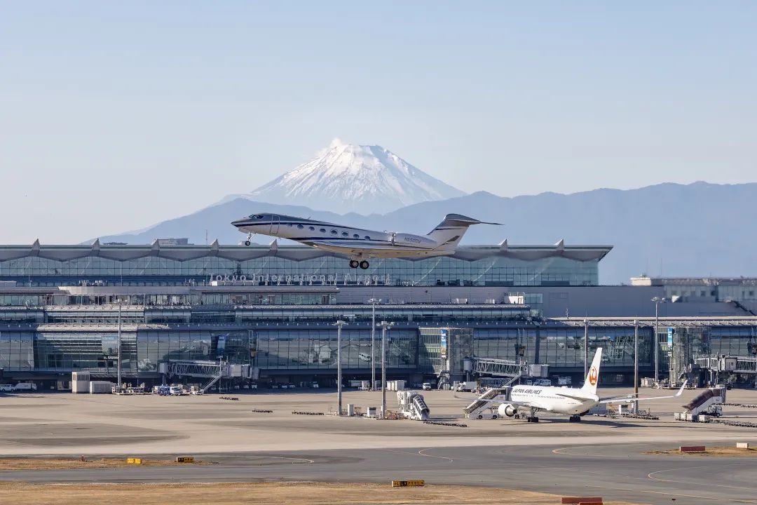 日本数十个航班紧急取消 日本数十个航班紧急取消