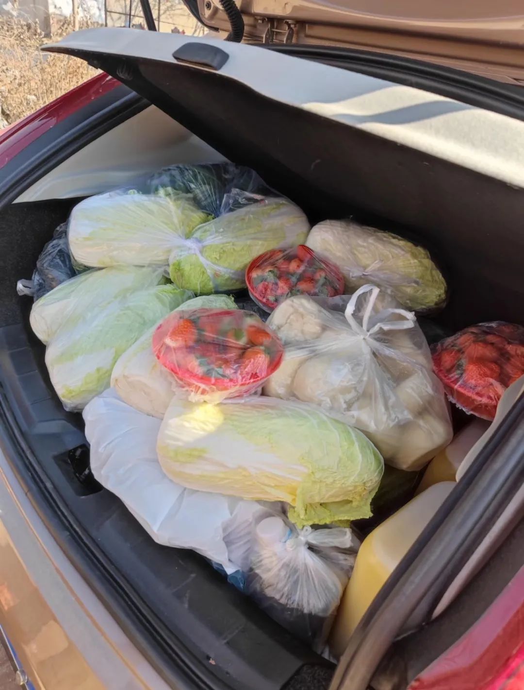 假期最后一天,后备箱的“爱”满满当当! 假期最后一天,后备箱的“爱”满满当当!