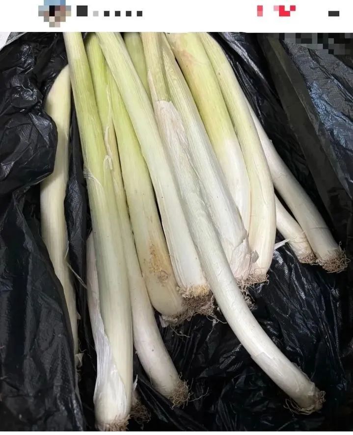 一年一度“后备箱大赛”开赛!山东网友行李箱有妈妈蒸的馒头、舅妈蒸的花糕 一年一度“后备箱大赛”开赛!山东网友行李箱有妈妈蒸的馒头、舅妈蒸的花糕