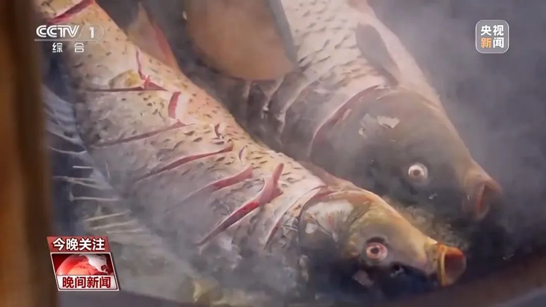 看馋了!羊肉汤、老火靓汤 、铁锅炖,美味炖出来 看馋了!羊肉汤、老火靓汤 、铁锅炖,美味炖出来