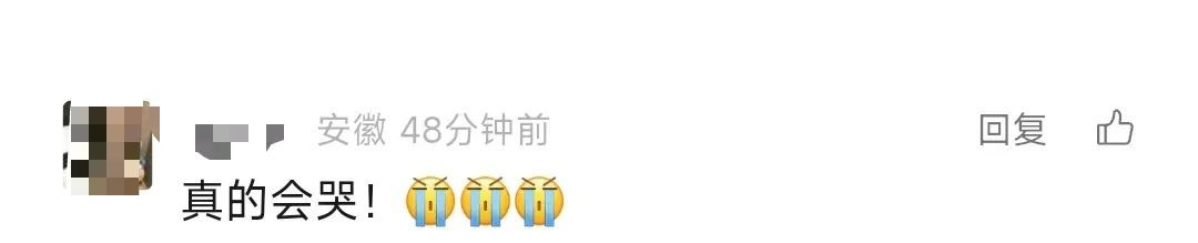 一年一度的“后备箱大赛”又开赛了！