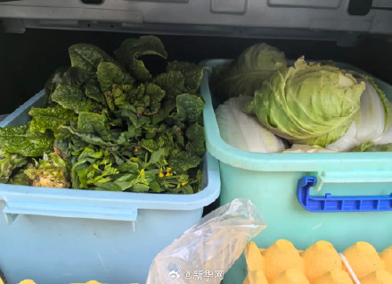 后备箱里是家人满满的爱