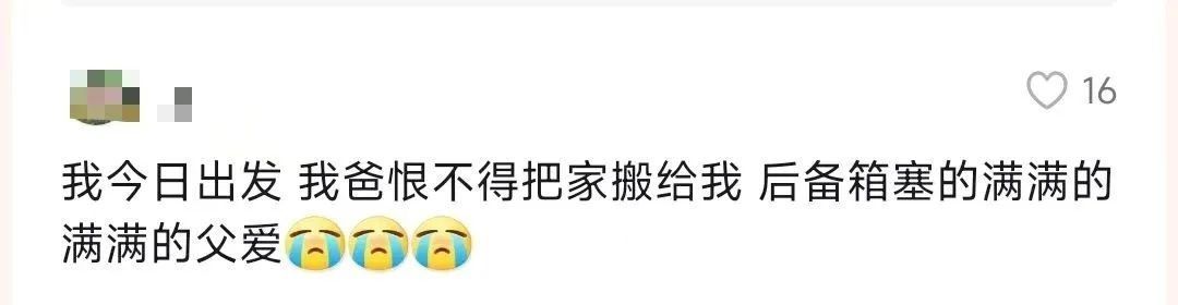 真的装不下了！一年一度的“后备箱大赛”又开赛了