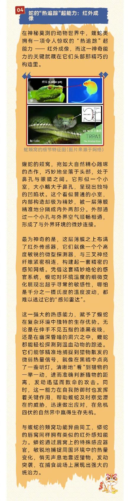 蛇年说蛇——蛇都有哪些超能力？