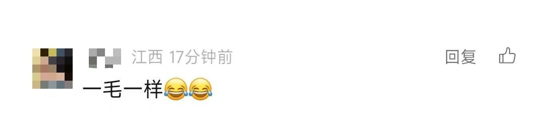 一年一度的“后备箱大赛”又开赛了！