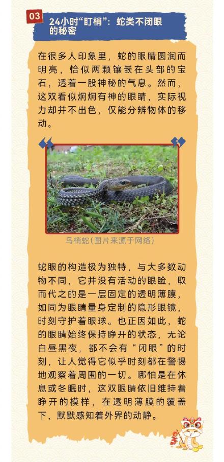 蛇年说蛇——蛇都有哪些超能力？
