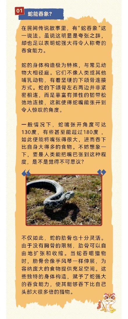 蛇年说蛇——蛇都有哪些超能力？