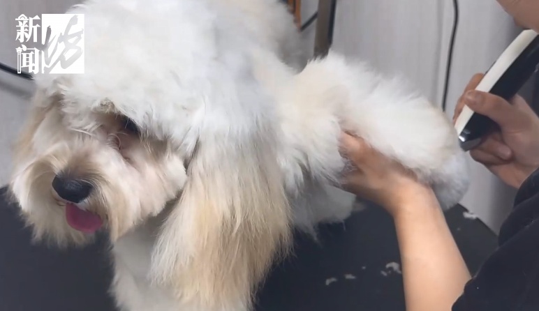 意外!上海男子直呼:比上班赚多了!但需警惕潜在风险→ 意外!上海男子直呼:比上班赚多了!但需警惕潜在风险→