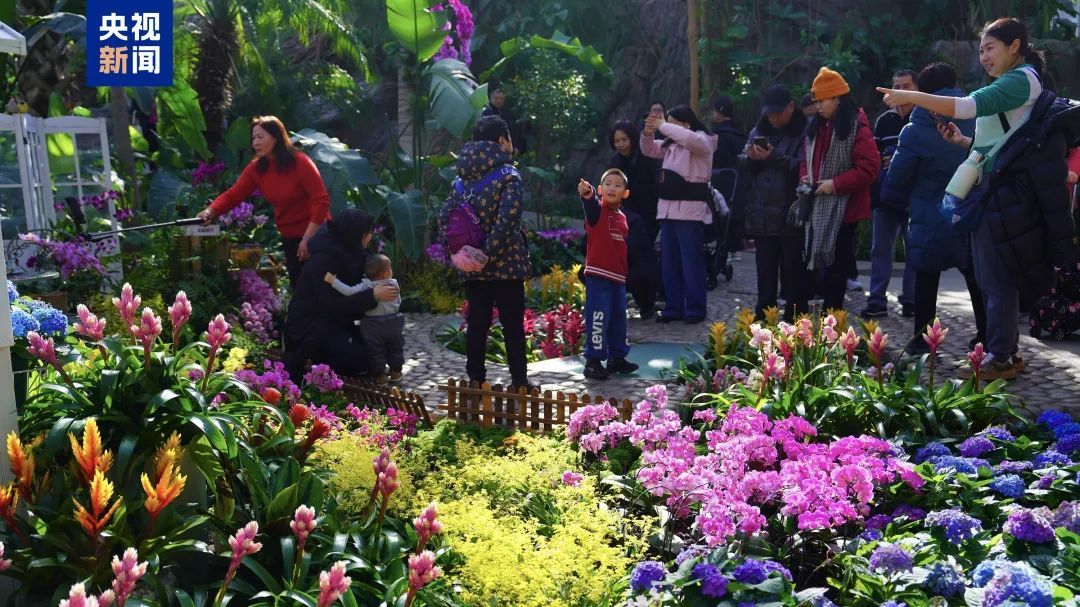 首个“非遗版”春节，北京这三家市属公园成“顶流”——