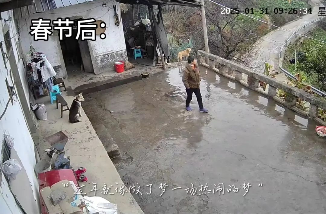 泪目！春节前后，这组监控对比冲上热搜：像一场热闹的"梦"...