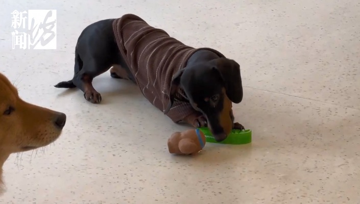 意外!上海男子直呼:比上班赚多了!但需警惕潜在风险→ 意外!上海男子直呼:比上班赚多了!但需警惕潜在风险→